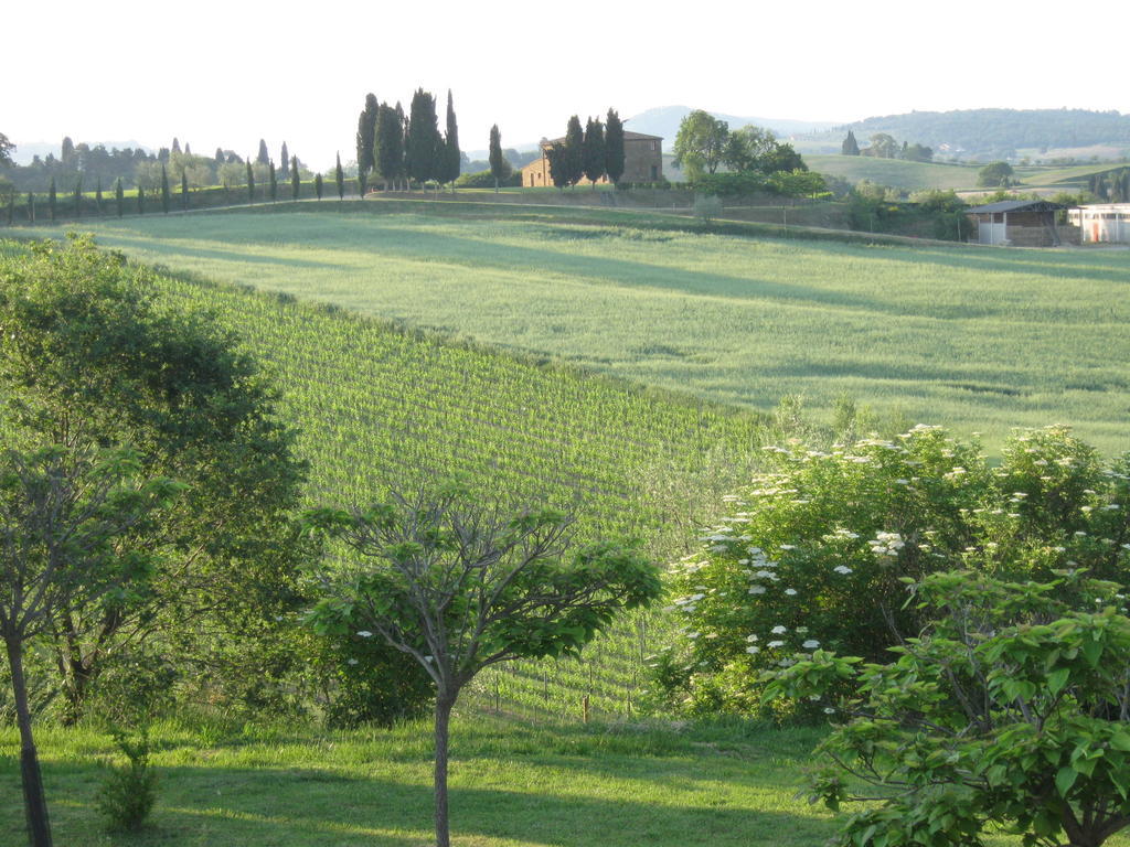 Agriturismo Santa Maria توريتا دي سيينا المظهر الخارجي الصورة