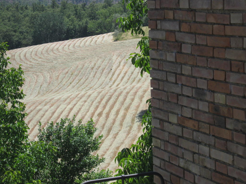 Agriturismo Santa Maria توريتا دي سيينا المظهر الخارجي الصورة