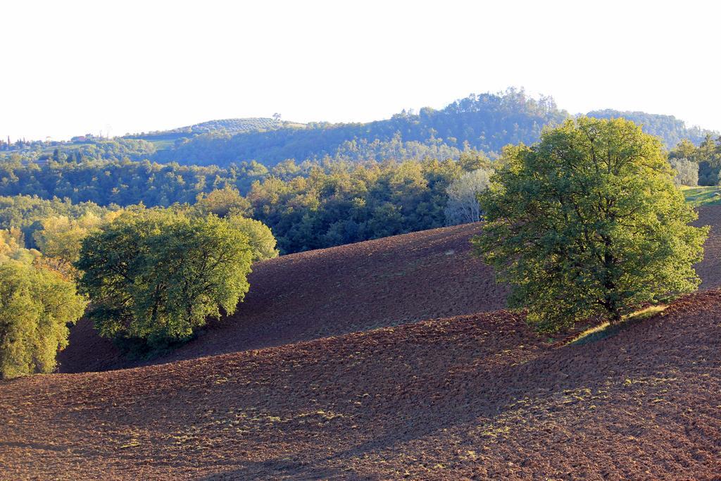 Agriturismo Santa Maria توريتا دي سيينا المظهر الخارجي الصورة