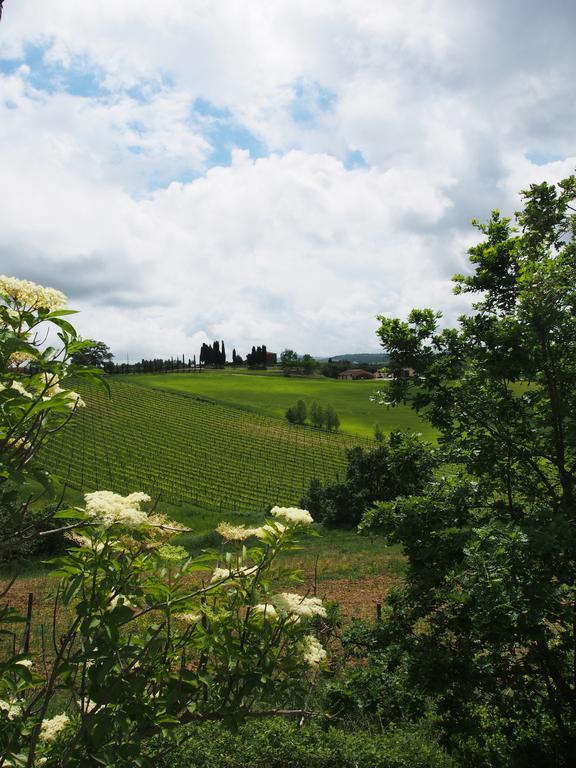 Agriturismo Santa Maria توريتا دي سيينا المظهر الخارجي الصورة