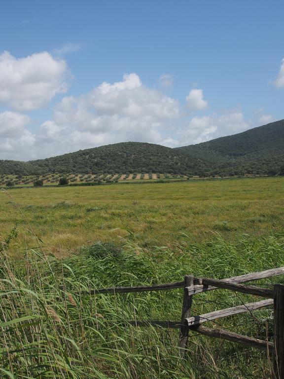Agriturismo Santa Maria توريتا دي سيينا المظهر الخارجي الصورة